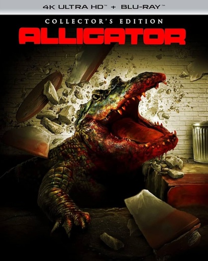 Alligator.jpg